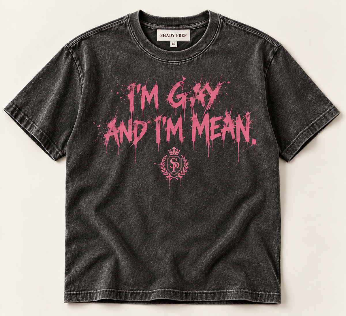 I'm Gay and I'm Mean - Edgy Edition | SHADY PREP